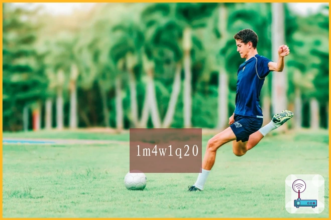 lm4w1q20