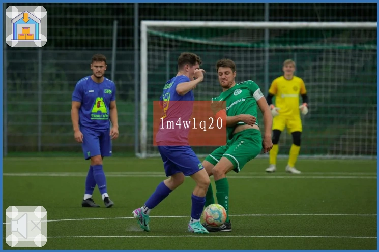 lm4w1q20